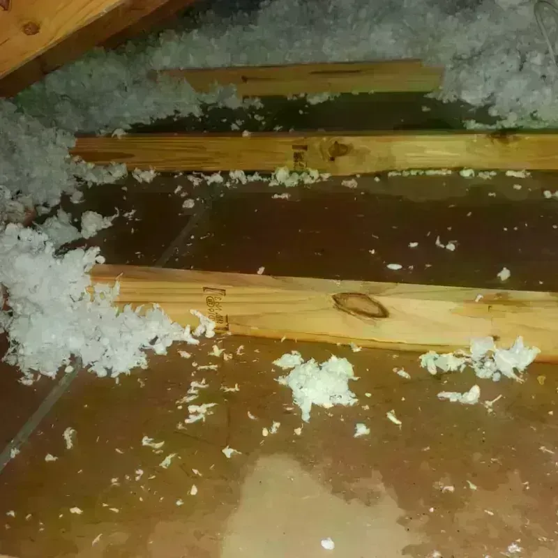 Attic Water Damage in Pittsfield, WI