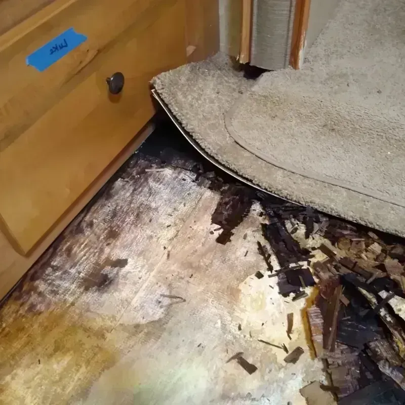 Wood Floor Water Damage in Pittsfield, WI